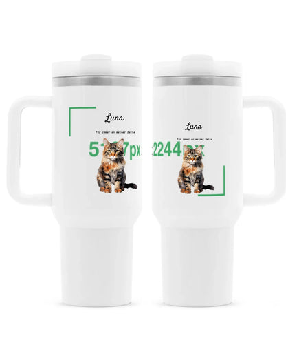 DVIJE KANNE Mocup 2