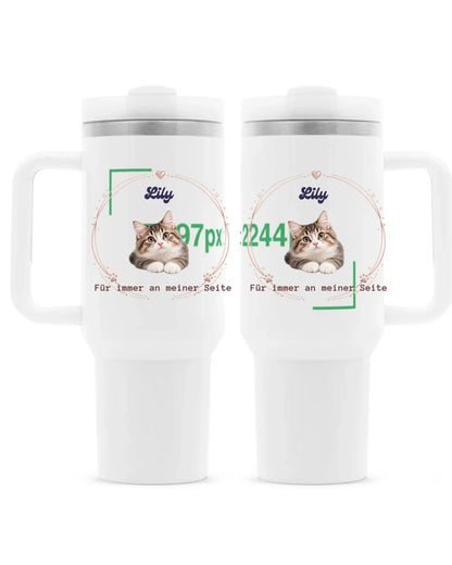 DVIJE KANNE Mocup 2