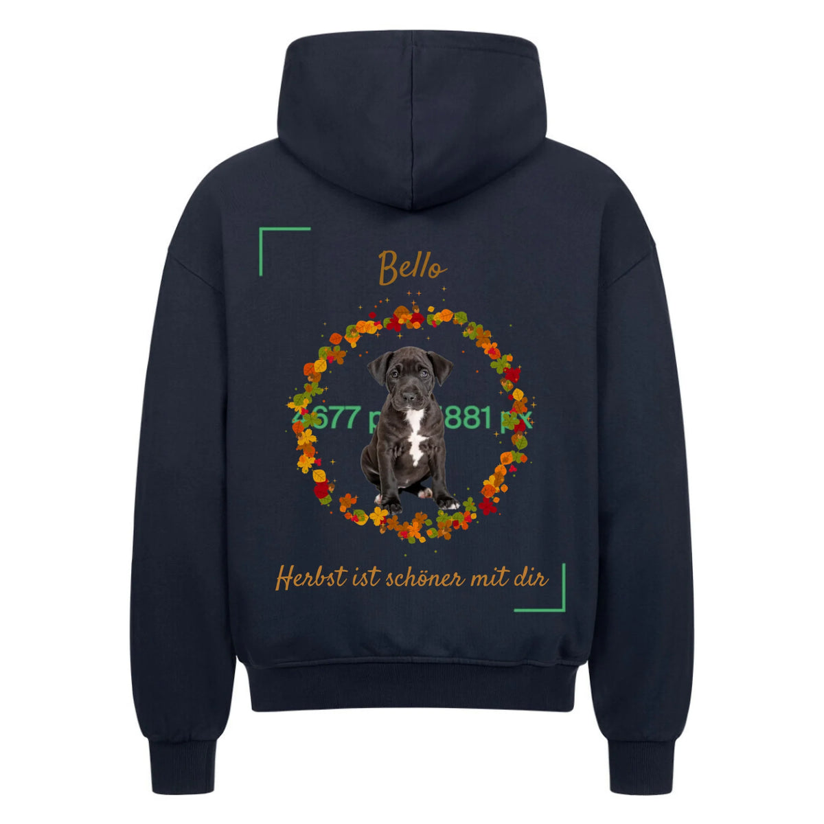 zip plava iza mjere