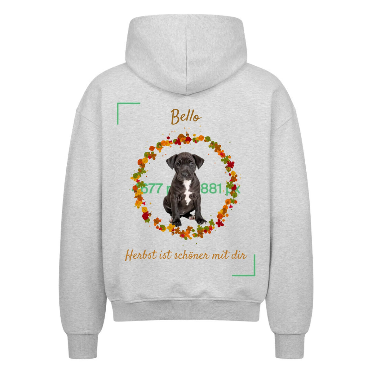 zip siva iza mjere